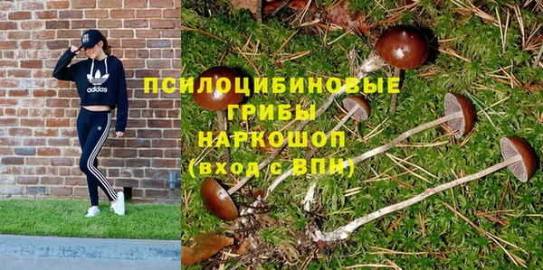 марки nbome Медвежьегорск