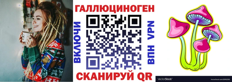 Купить где  Райчихинск  Псилоцибиновые грибы Cubensis 